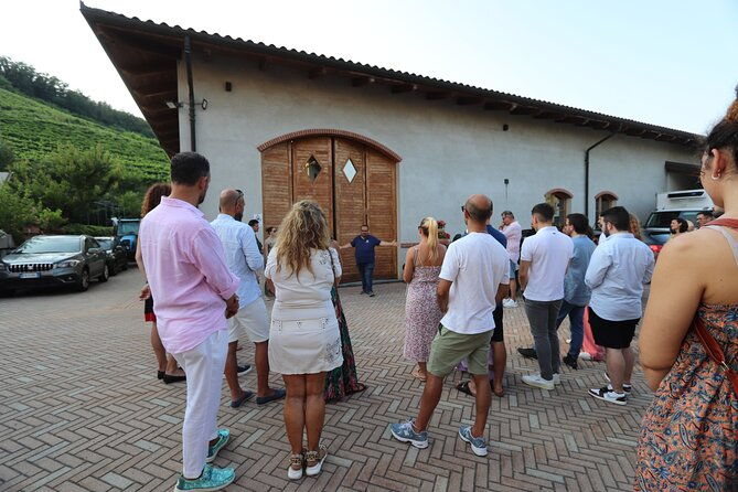 guided-walk-and-lunch-in-the-vineyard-in-alba