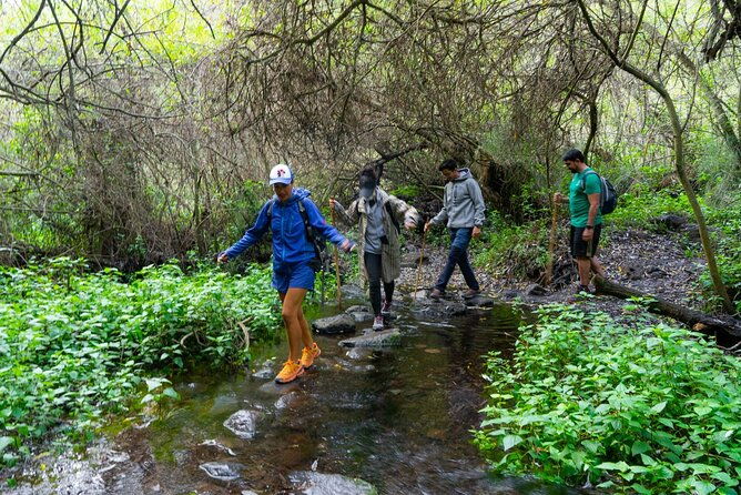 guided-walking-route-to-caldera-de-taburiente-2