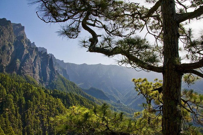guided-walking-route-to-caldera-de-taburiente-2