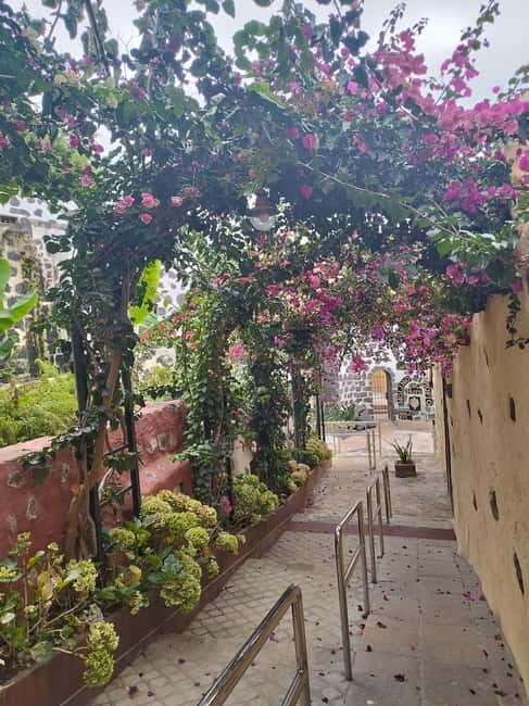 Guided walking tour in La Orotava 1:30 min, Tenerife - Why It Stands Out