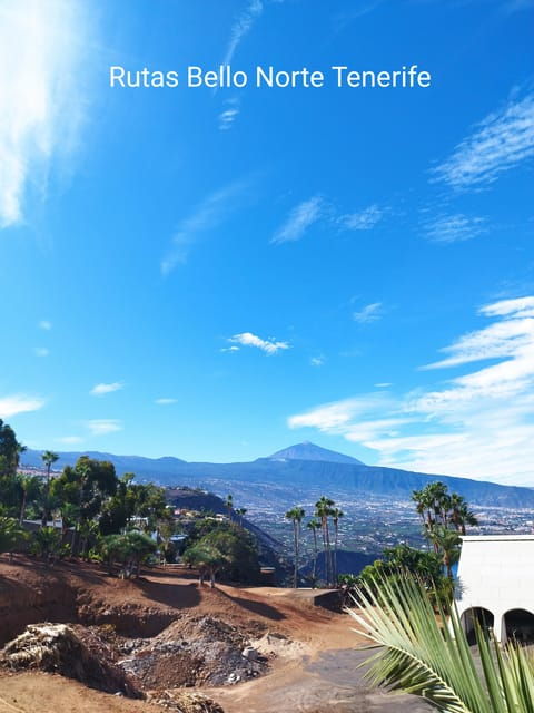 guided-walking-tour-in-la-orotavatenerife