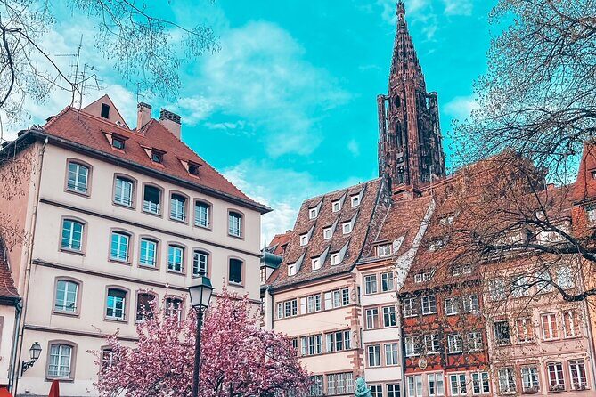 Guided Walking Tour in Strasbourg between History and Curiosities - Exploring Strasbourg with a Local Guide