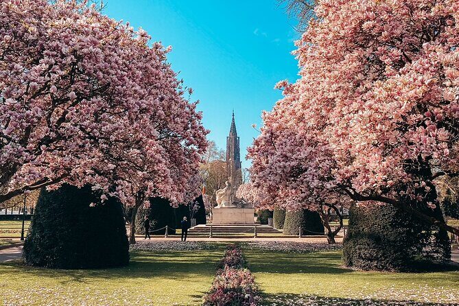 Guided Walking Tour in Strasbourg between History and Curiosities - How the Tour Enhances Your Visit