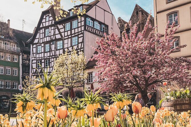 Guided Walking Tour in Strasbourg between History and Curiosities - Practical Details