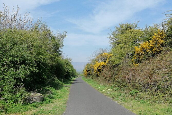 guided-walking-tour-in-stunning-county-waterford-ireland-2