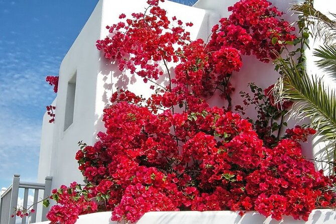 guided-walking-tour-mykonos-little-venice-windmills-beaches