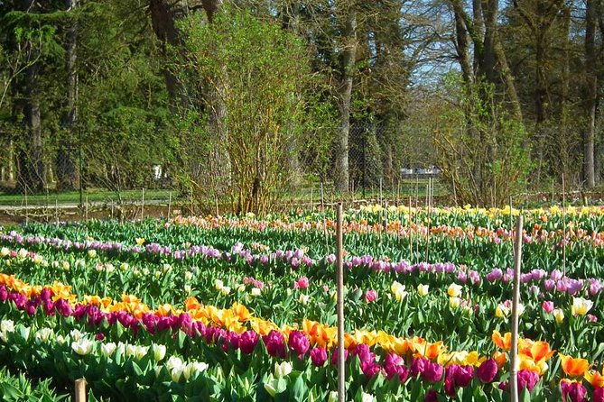 guided-walking-tour-of-chenonceau-chateau