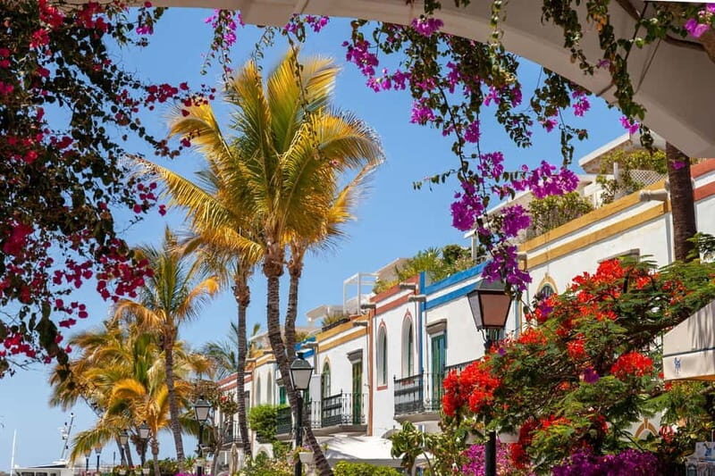 Guided walking tour of Puerto de Mogán - Key Points