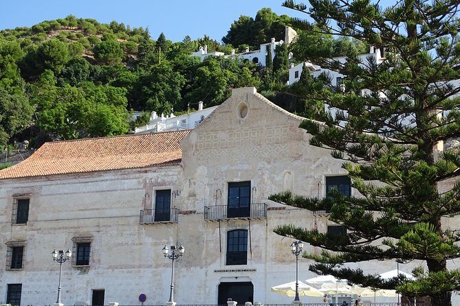 Guided Walking Tour of the Old Town of Frigiliana - Why You Should Consider This Tour