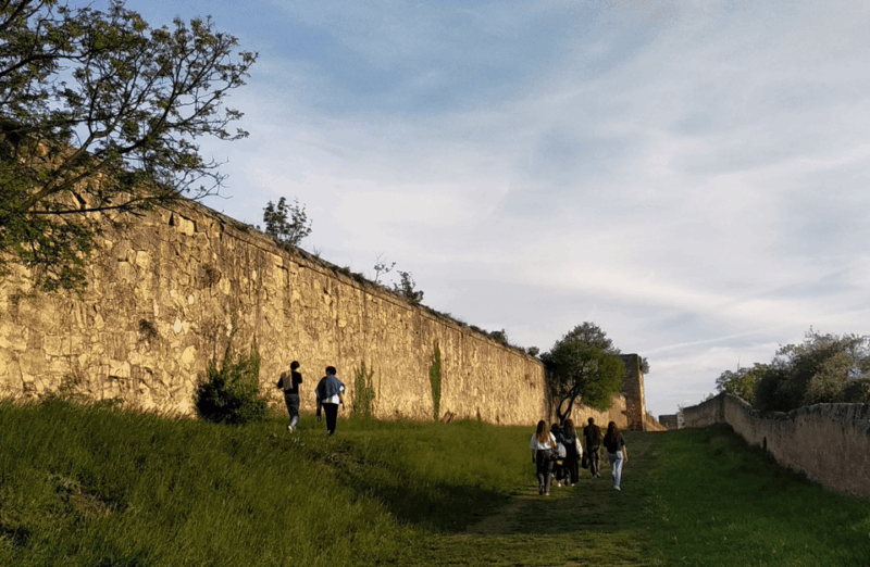 guided-walking-tour-on-verona-hillside-2