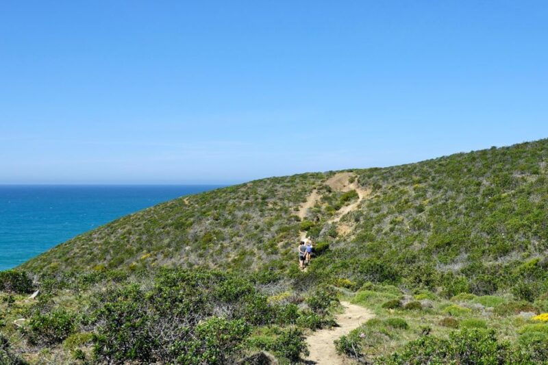 guided-walkpicnic-western-algarves-wild-beauty