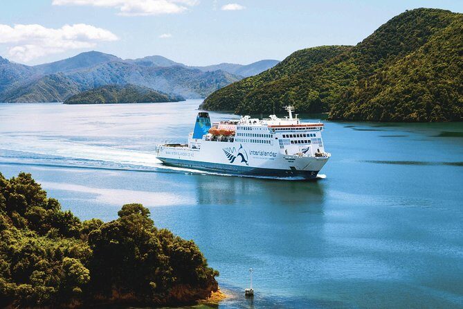 Guided Wellington Tour by Electric Bike - FAQs