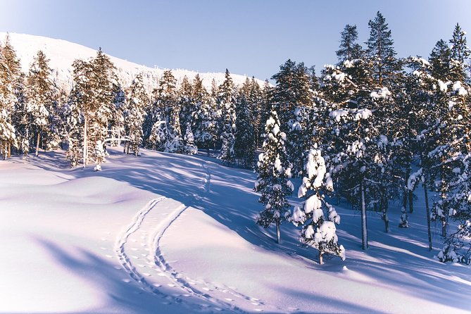 guided-wilderness-skiing-tour-in-pyhatunturi
