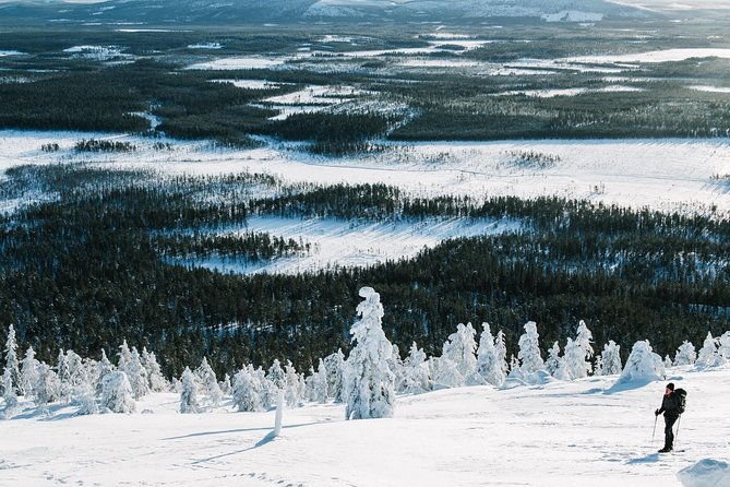 guided-wilderness-skiing-tour-in-pyhatunturi