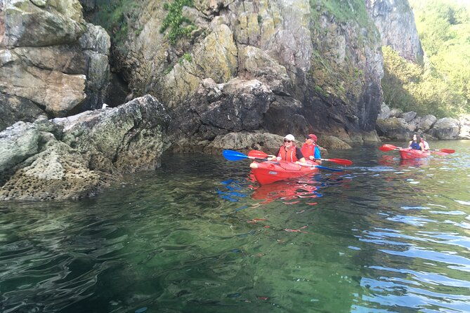 guided-wildlife-and-sea-cave-kayak-safari-in-english-riviera