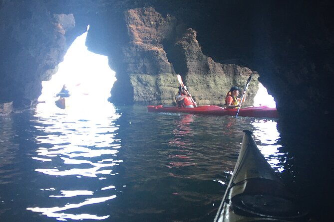 guided-wildlife-and-sea-cave-kayak-safari-in-english-riviera