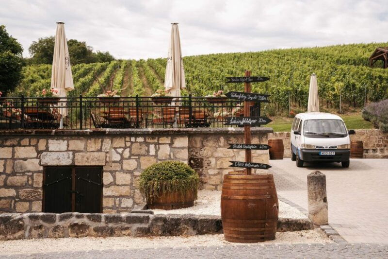 guided-wine-tasting-at-rokusfalvy-estate