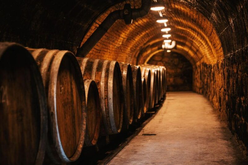 guided-wine-tasting-at-rokusfalvy-estate