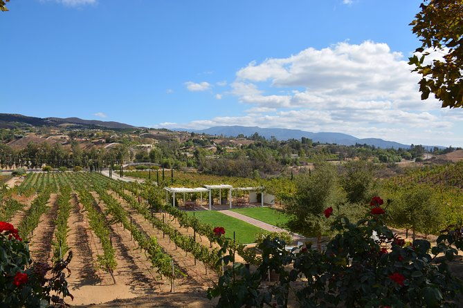 guided-wine-tasting-tour-of-temecula-2