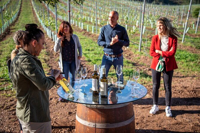guided-winery-tour-and-wine-tasting-in-pontevedra