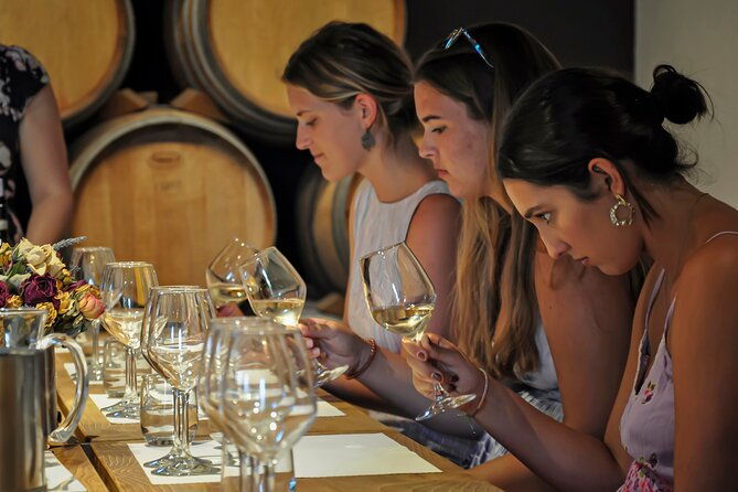 guided-winery-tour-and-wine-tasting-in-siena