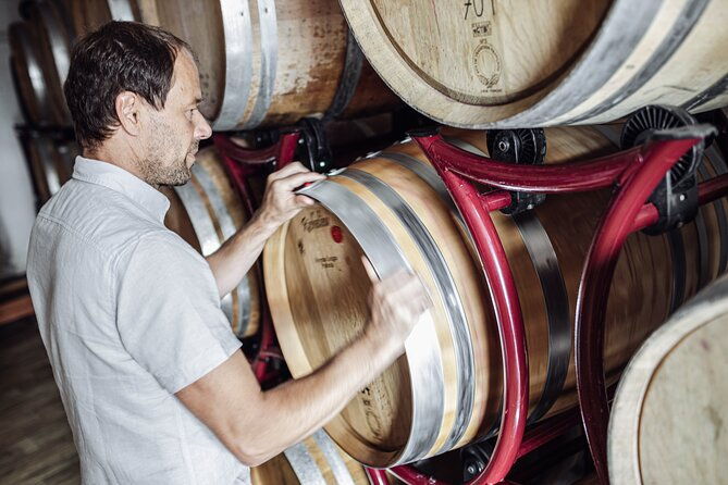 guided-winery-tour-with-tasting-in-bolzano-at-the-skywine-pavillon
