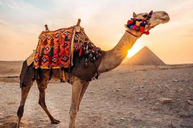Guiding Half Day To Giza Pyramids with Hotel pickup - Key Points