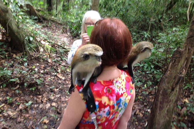 Guiding Tours In Ghana/West Africa - Key Points