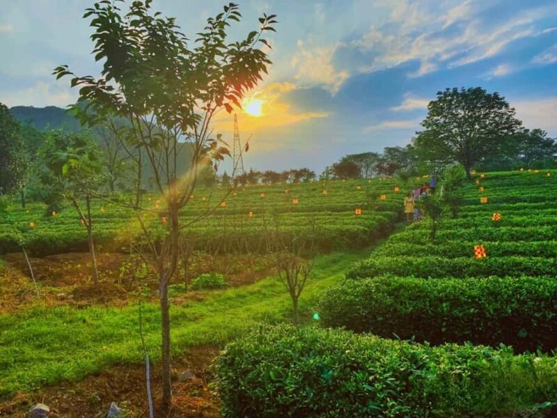 Guilin: Guihai Stele Forest, Fubo Mountain & Tea Tour - The Highlight: Mount Yao’s Panoramic Views