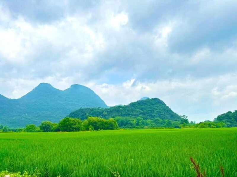 Guilin: Half Day Yanzi Cave Exploration Tour - FAQ