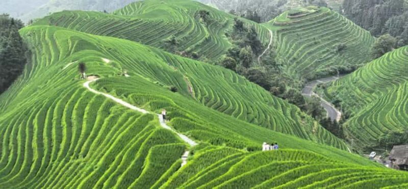 Guilin: In-Depth Longji Rice Terraces Day Trip with Lunch - What’s Included and Practical Considerations