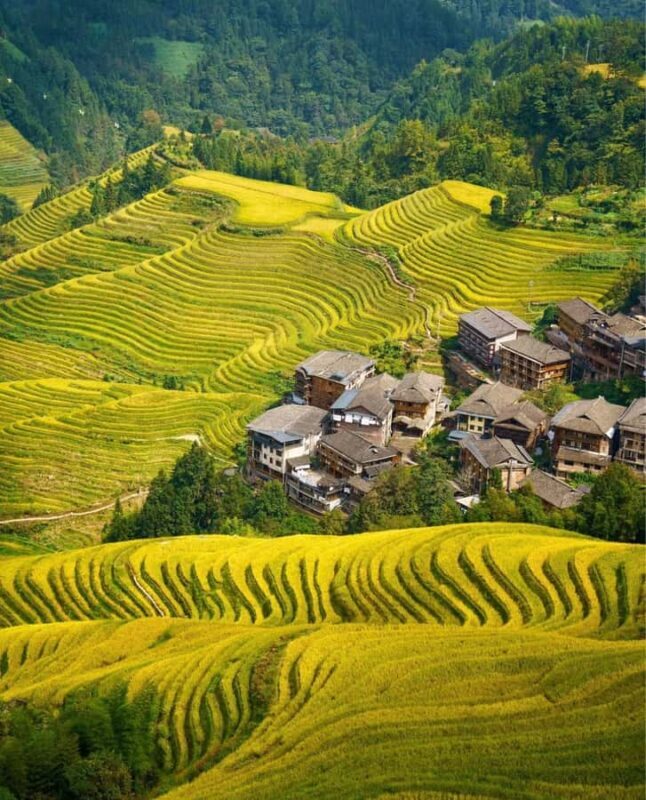 Guilin Longji: Rice Terrace with Oil Tea Demo & Zhuang Lunch - Key Points