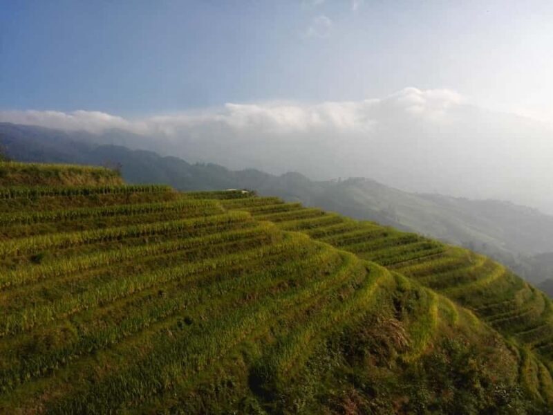 Guilin: Longji Rice Terraces and Huangluo Yao Village Tour - Key Points