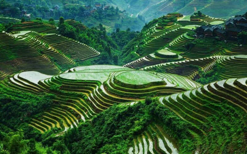 Guilin: Longji Rice Terraces and Huangluo Yao Village Tour - The Scenic Beauty of Longji Rice Terraces