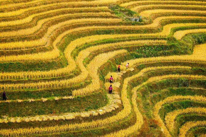 Guilin: Longji Rice Terraces and Villages Private Day Tour - The Itinerary: From Guilin to the Stunning Longji Terraces