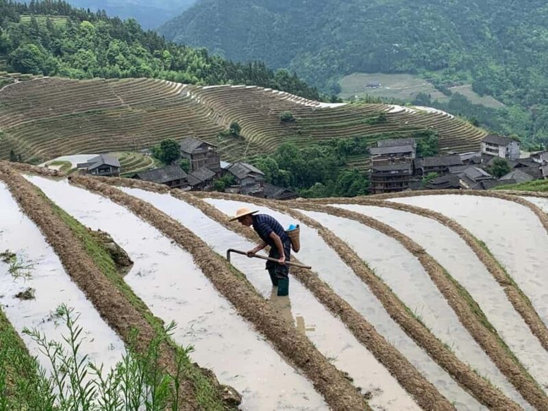 Guilin: Longji Rice Terraces & Minority Villages 2-Day Tour - Scenic Landscapes & Cultural Encounters in Guilin’s Rural Heartland