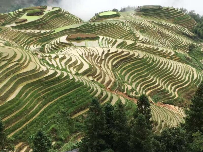 Guilin: Longji Rice Terraces & Minority Villages 2-Day Tour - First Day: Discovering Huangluo Yao Village & Local Cuisine