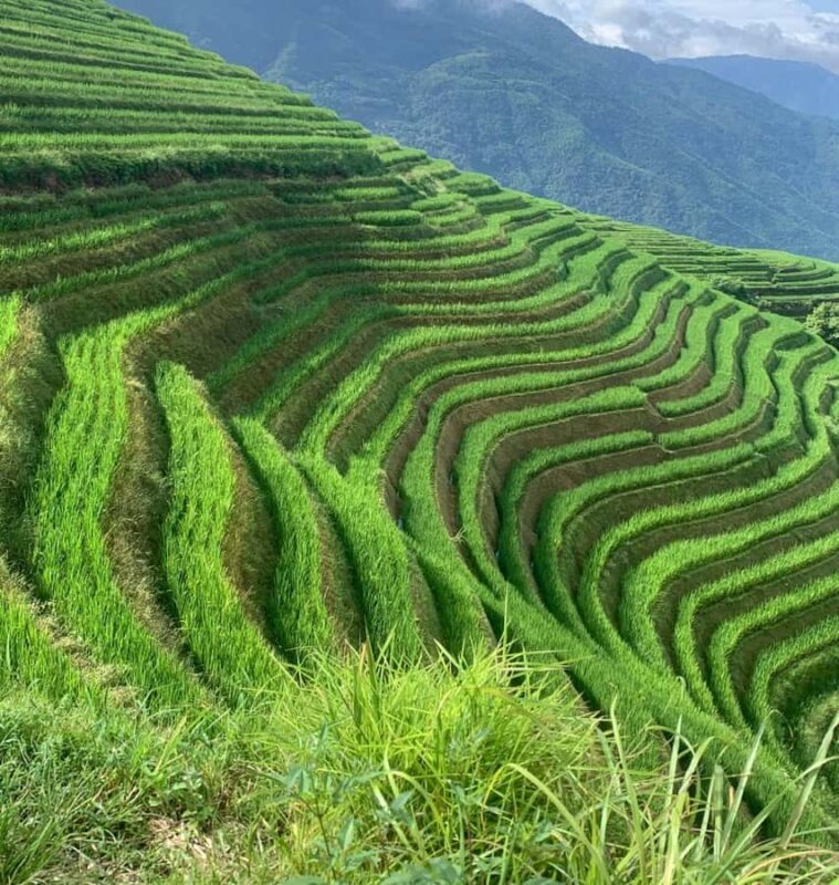 Guilin: Longji Rice Terraces & Minority Villages 2-Day Tour - Who Will Love This Tour?