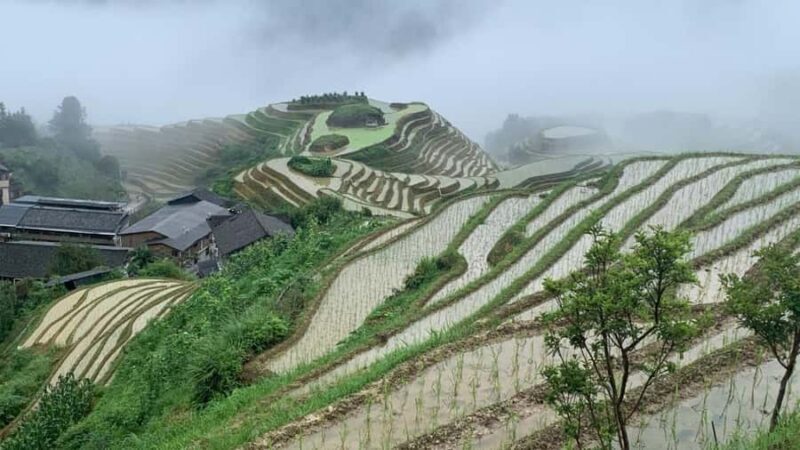Guilin: Longji Rice Terraces & Minority Villages 2-Day Tour - FAQ