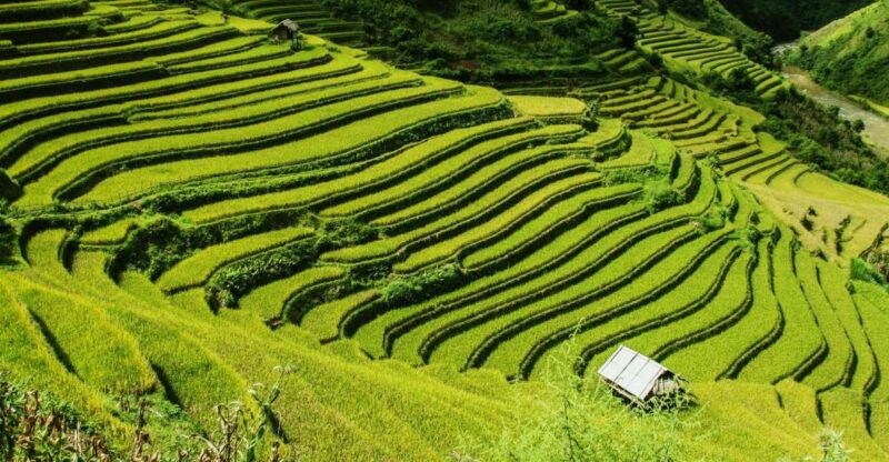 guilin-longji-terraces-private-day-tour