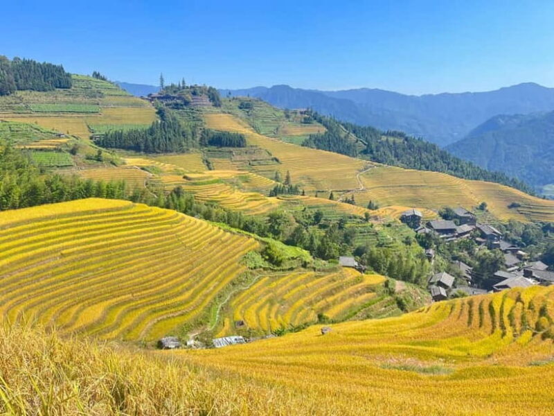 Guilin-Nanning: 8-Day Li River, Rice Terraces & Detian Falls - Final Thoughts