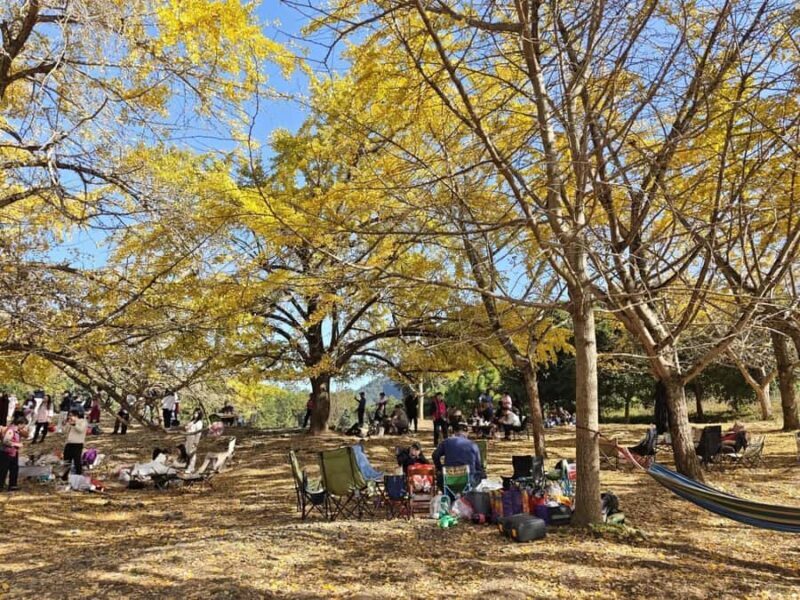 Guilin: Private Ginkgo Village and DaXu Ancient Town Tour - Key Points