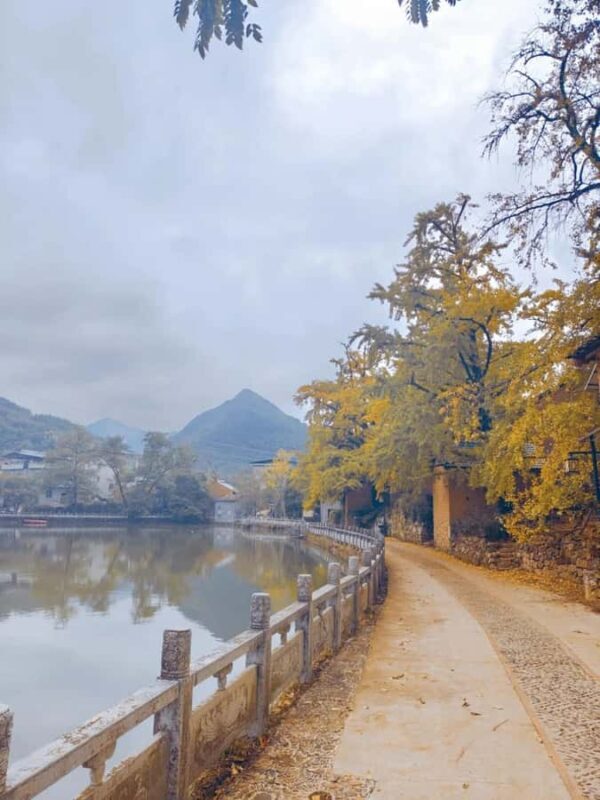 Guilin: Private Ginkgo Village and DaXu Ancient Town Tour - Final Thoughts