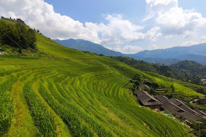 Guilin Tea plantation and Longji Rice Terraces Day Tour from Guilin hotel - FAQ
