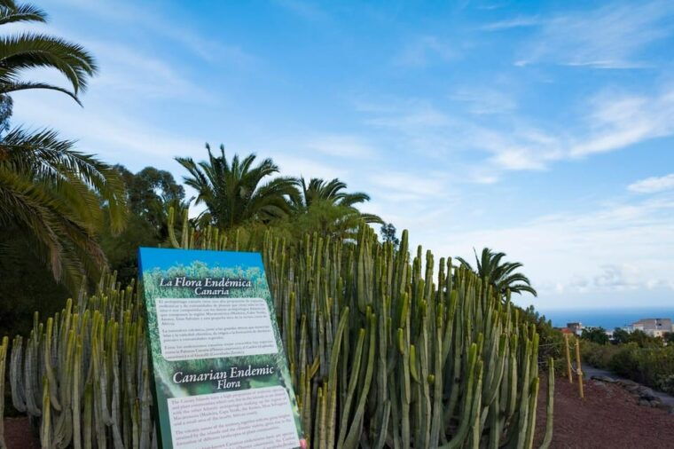 guimar-pyramids-of-guimar-ethnographic-park-entry-ticket