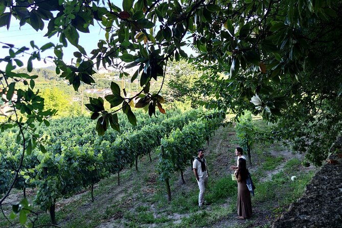 guimaraes-braga-port-private-tour-with-lunch-and-green-wine