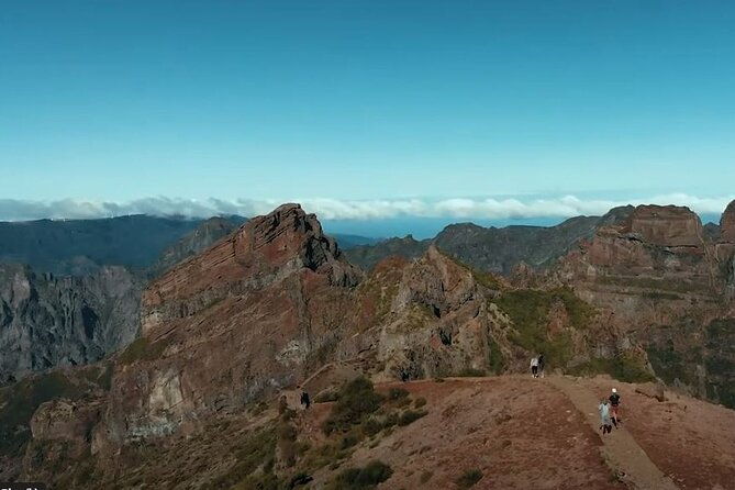 guindaste-viewpoint-a-framed-houses-laurissilva-forest