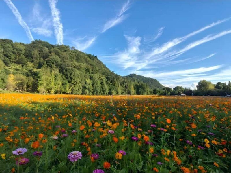 Guiyang: Yelang Valley & Huaxi Shili River Beach Tour - Final Thoughts