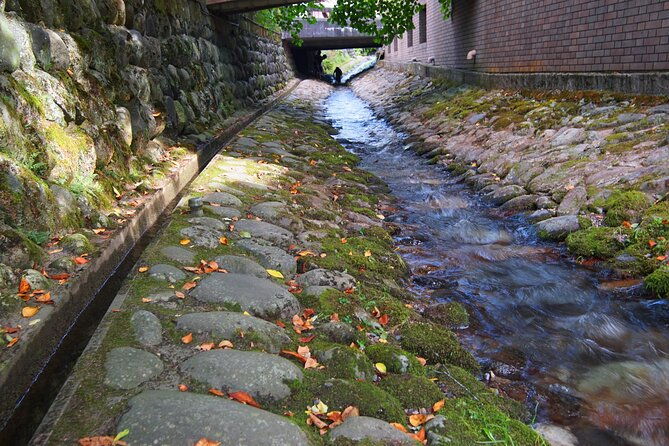 gujo-hachiman-all-must-sees-full-day-private-tour-with-government-licensed-guide