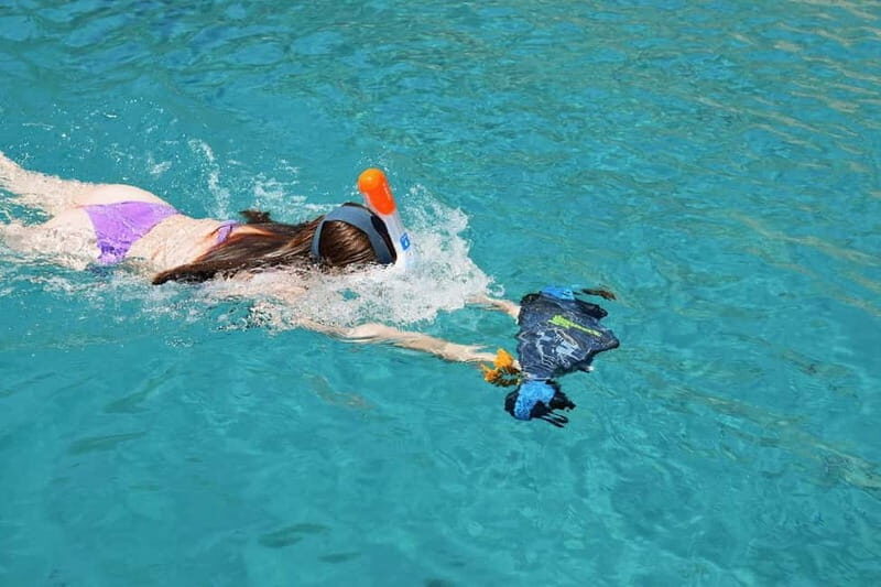 gulf of Ajaccio / Anse de cacao , swim stop - Who Will Love This Tour?